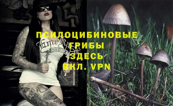 марихуана Бородино