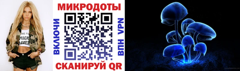площадка наркотические препараты Северобайкальск Галлюциногенные грибы Psilocybe как найти закладки